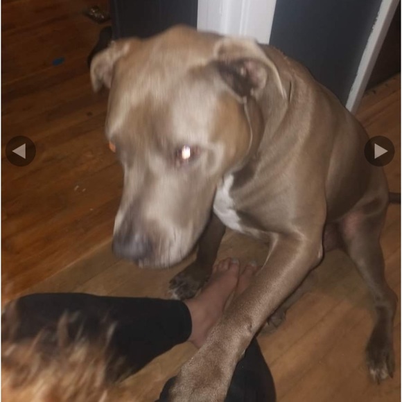 Meet your Posher, Bundle - Picture 5 of 6